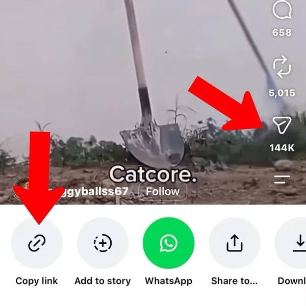 Copy link for Instagram reels download