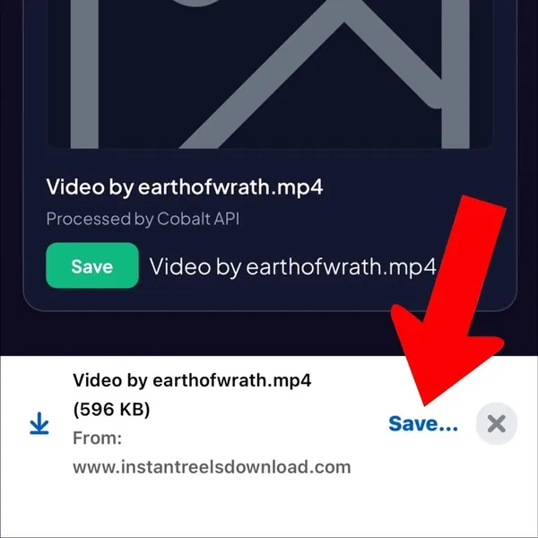 Save video using Instagram Reels Downloader