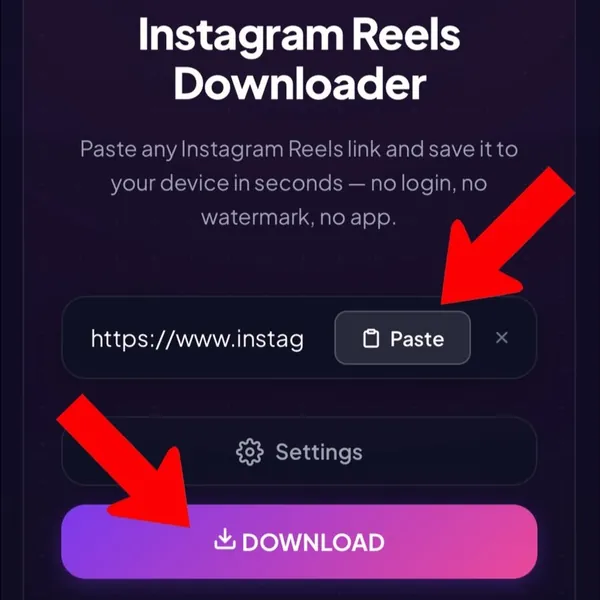 Paste link into Instagram Reels Downloader